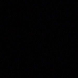 Meet your Posher, Wyatt